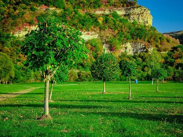 Отель Адиюх Пэлас в Архызе, фото 11