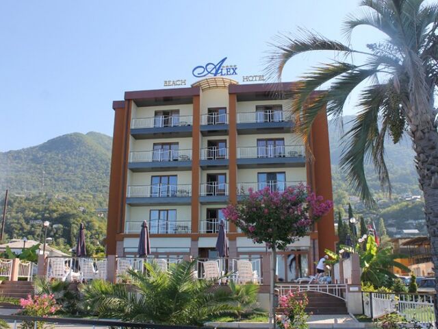 Alex Resort & Spa, Отель